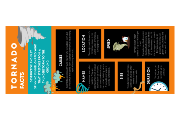 Tsunami Infographic Editable Template